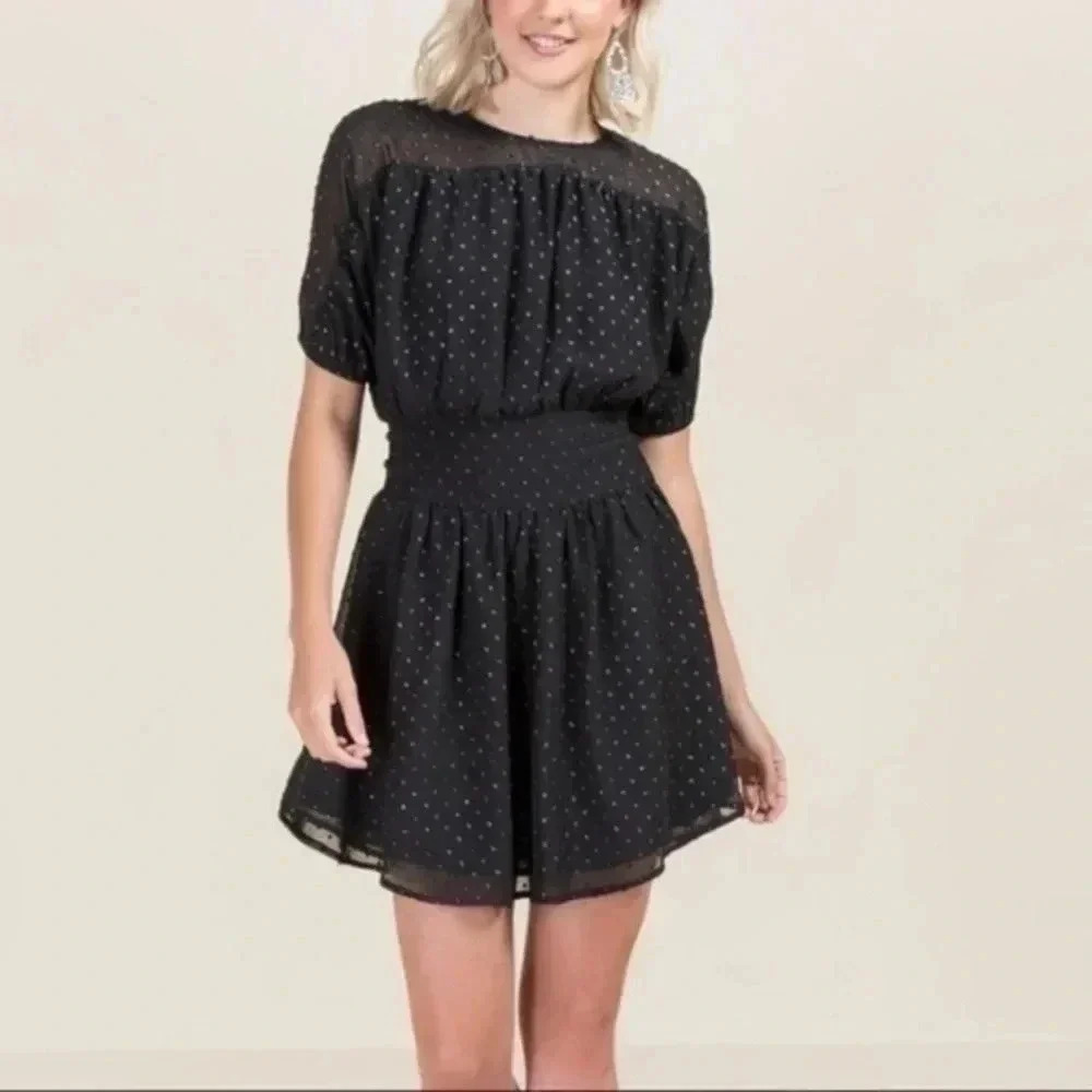 Francescas Casey smocked waist dress  Small black